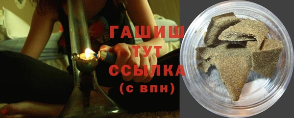 гашик Осинники