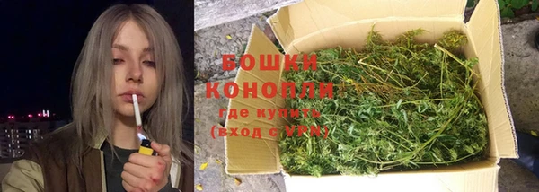 винт Осташков