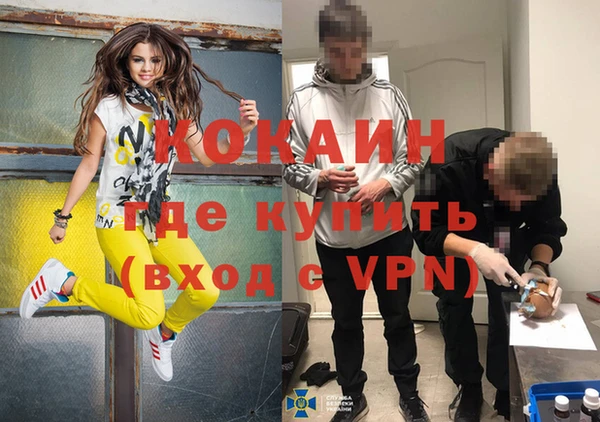 гашик Осинники