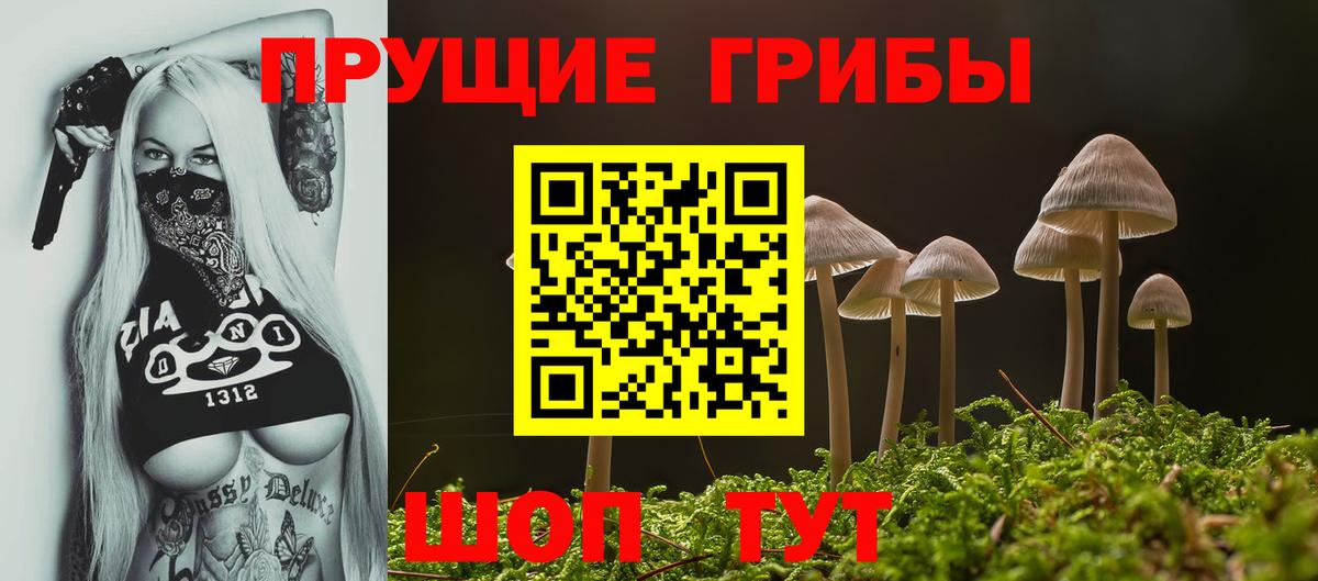 Псилоцибиновые грибы прущие грибы  Вход с VPN  Красноуфимск 